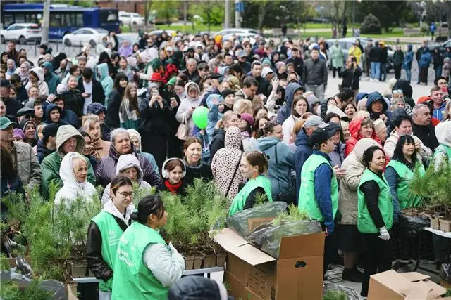 GRASS подарила 30 тысяч сосновых саженцев жителям шести российских городов